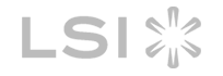 LSI Raid Logo